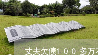 丈夫欠债100多万不还/2023111062624