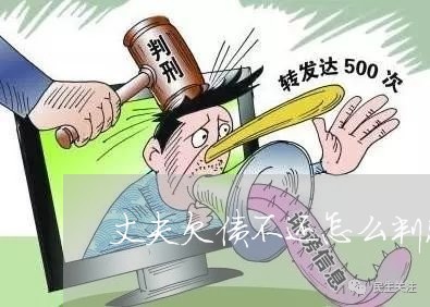 丈夫欠债不还怎么判决呢/2023102483623