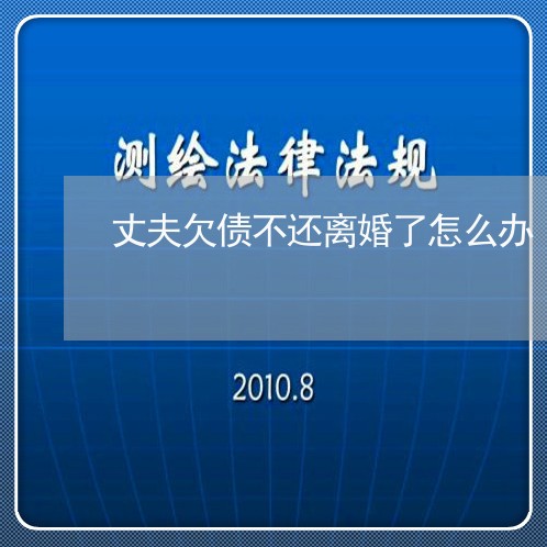 丈夫欠债不还离婚了怎么办/2023092273795