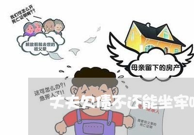 丈夫欠债不还能坐牢吗/2023111047069