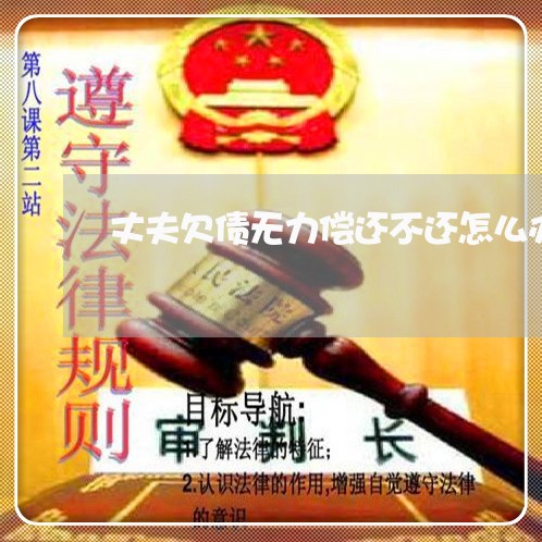 丈夫欠债无力偿还不还怎么办/2023092949251