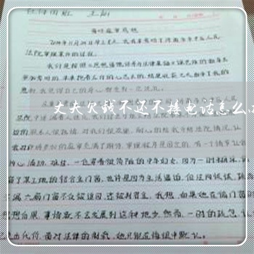 丈夫欠钱不还不接电话怎么办/2023121016038