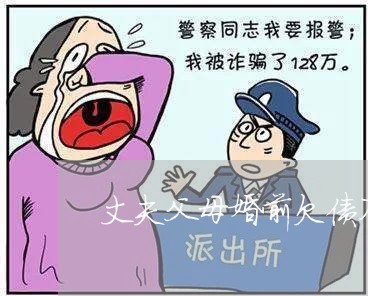 丈夫父母婚前欠债不还钱/2023102417930