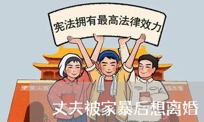 丈夫被家暴后想离婚/2023110385068