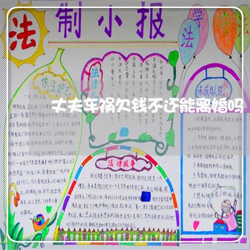 丈夫车祸欠钱不还能离婚吗/2023110249471