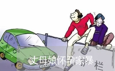 丈母娘怀孕家暴/2023122110723