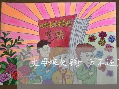 丈母娘欠钱5万不还怎么办/2023121021926