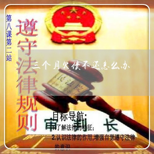 三个月欠债不还怎么办/2023120564926