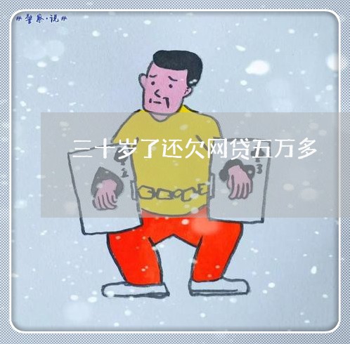 三十岁了还欠网贷五万多/2023112397058