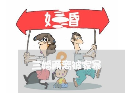 三婚两离被家暴/2023090949493