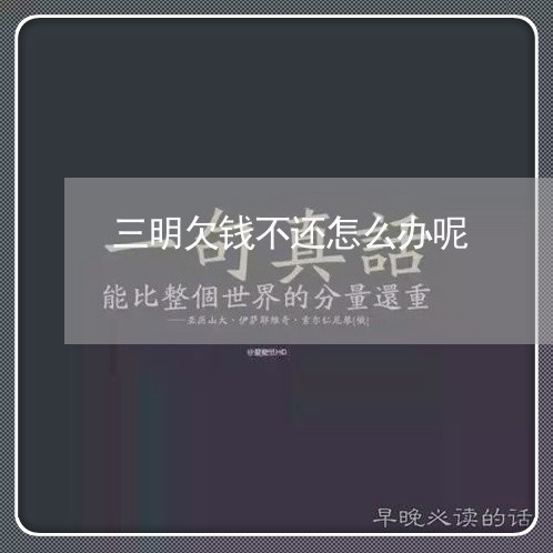 三明欠钱不还怎么办呢/2023121048581