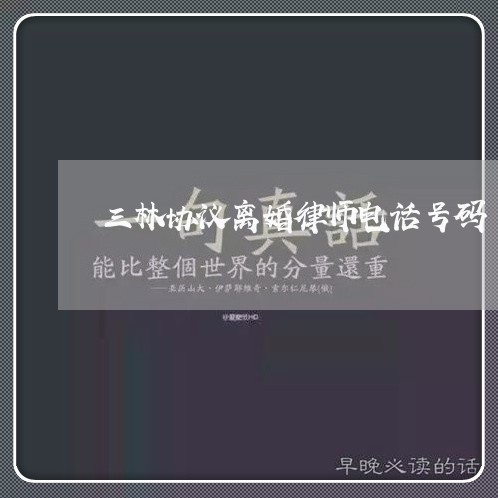 三林协议离婚律师电话号码/2023111451492