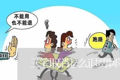 三笔取消怎么退费啊苹果/2023062079608