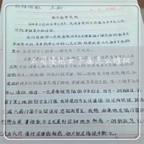 上司侵犯女下属怎么维权/2023062365835