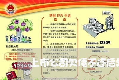 上市公司欠债不还后果/2023111740515