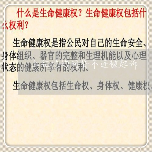 上征信的网贷不还被起诉/2023111412917