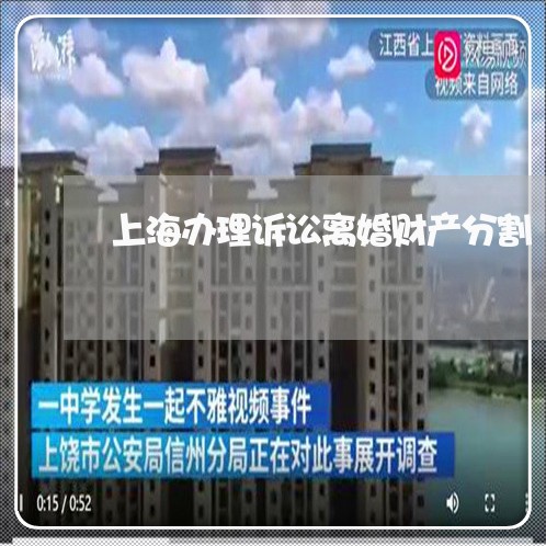 上海办理诉讼离婚财产分割/2023111495048