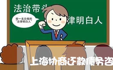 上海协商还款债务咨询机构/2023100602953