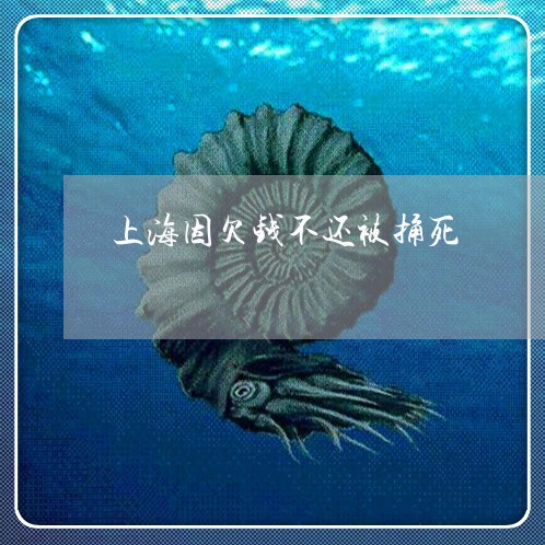 上海因欠钱不还被捅死/2023091568373