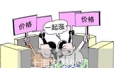 上海家暴处罚/2023120372792