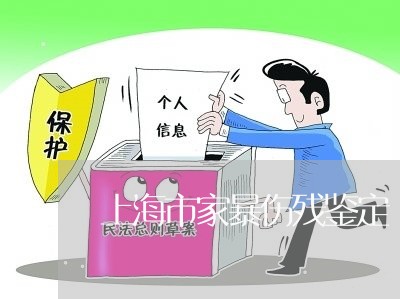 上海市家暴伤残鉴定/2023110727469