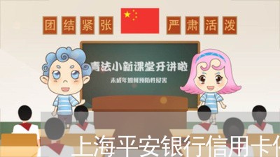 上海平安银行信用卡催收/2023092981739