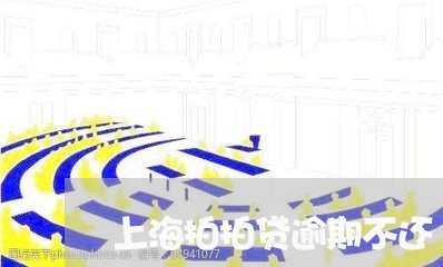 上海拍拍贷逾期不还/2023060958370