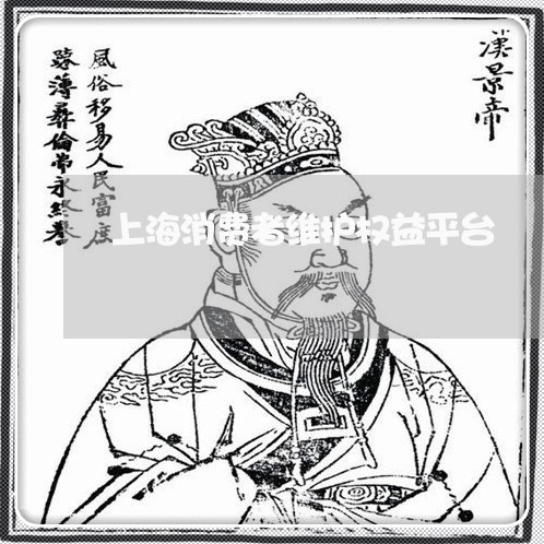 上海消费者维护权益平台/2023032695927