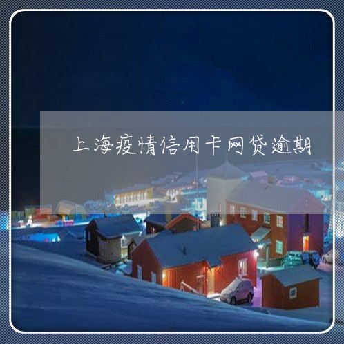 上海疫情信用卡网贷逾期/2023121879503