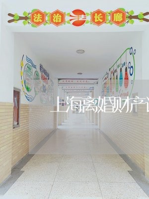 上海离婚财产诉讼费/2023110971715