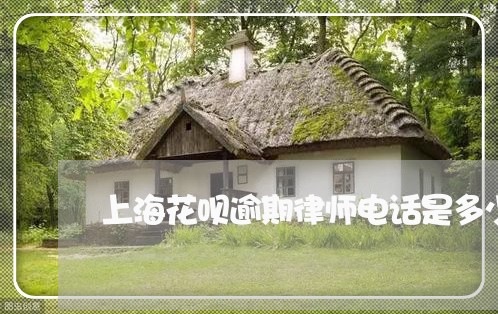 上海花呗逾期律师电话是多少/2023091698058