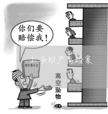 上海财产离婚案/2023121974936