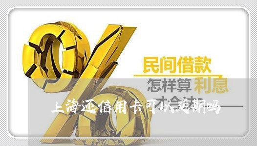 上海还信用卡可以延期吗/2023112577069