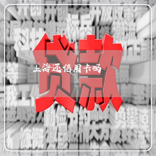 上海还信用卡吗/2023072383835