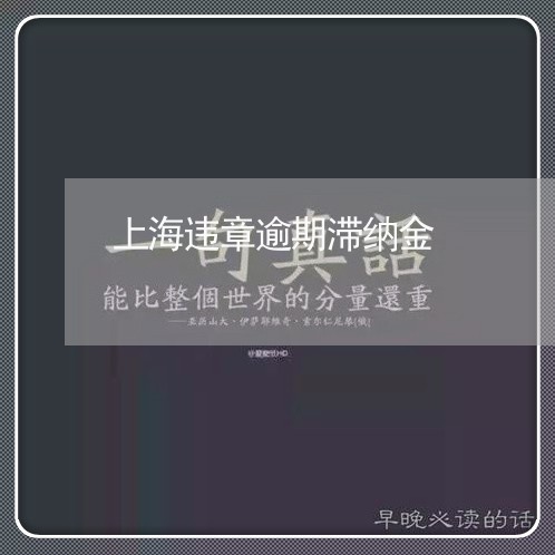 上海违章逾期滞纳金/2023060905180