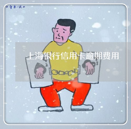 上海银行信用卡逾期费用/2023121851571