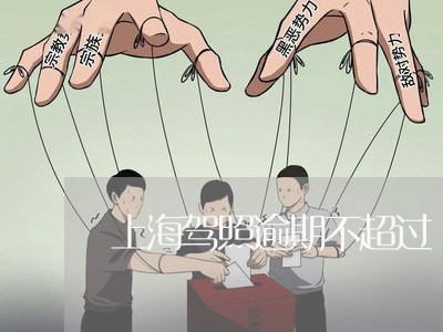 上海驾照逾期不超过/2023060928239