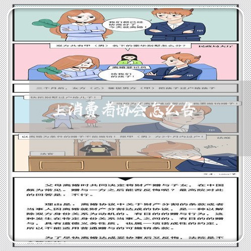 上消费者协会怎么告/2023060893715