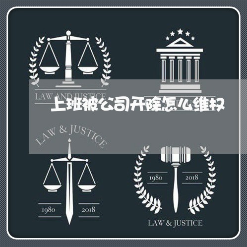 上班被公司开除怎么维权/2023062512870