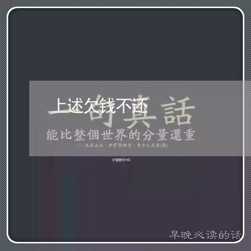 上述欠钱不还/2023111131371