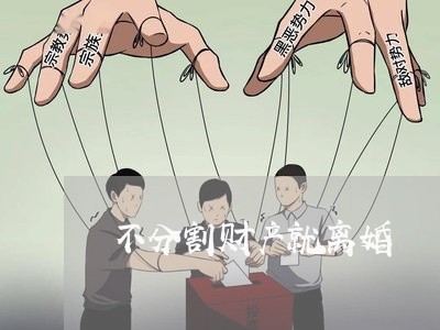 不分割财产就离婚/2023100172571