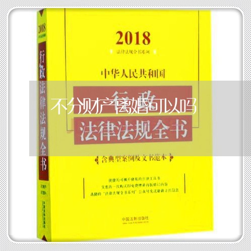 不分财产离婚可以吗/2023110974936