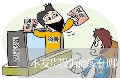 不发货投诉商家在哪/2023032902726