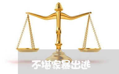 不堪家暴出逃/2023120420370