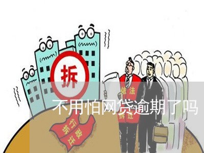 不用怕网贷逾期了吗/2023110718169