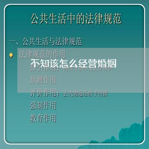 不知该怎么经营婚姻/2023112630582