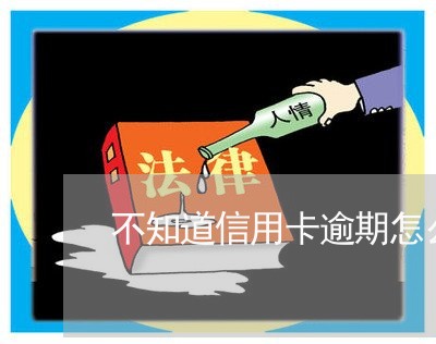 不知道信用卡逾期怎么办电话卡/2023072226250