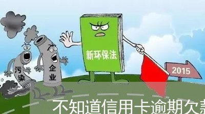 不知道信用卡逾期欠款了怎么办/2023091314949