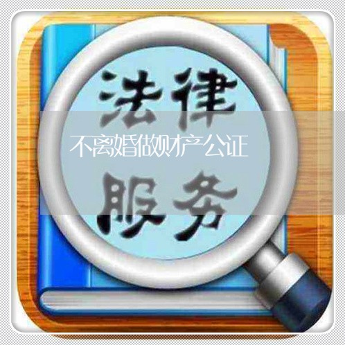 不离婚做财产公证/2023100109572