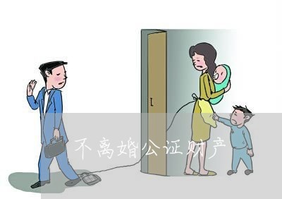 不离婚公证财产/2023121893714